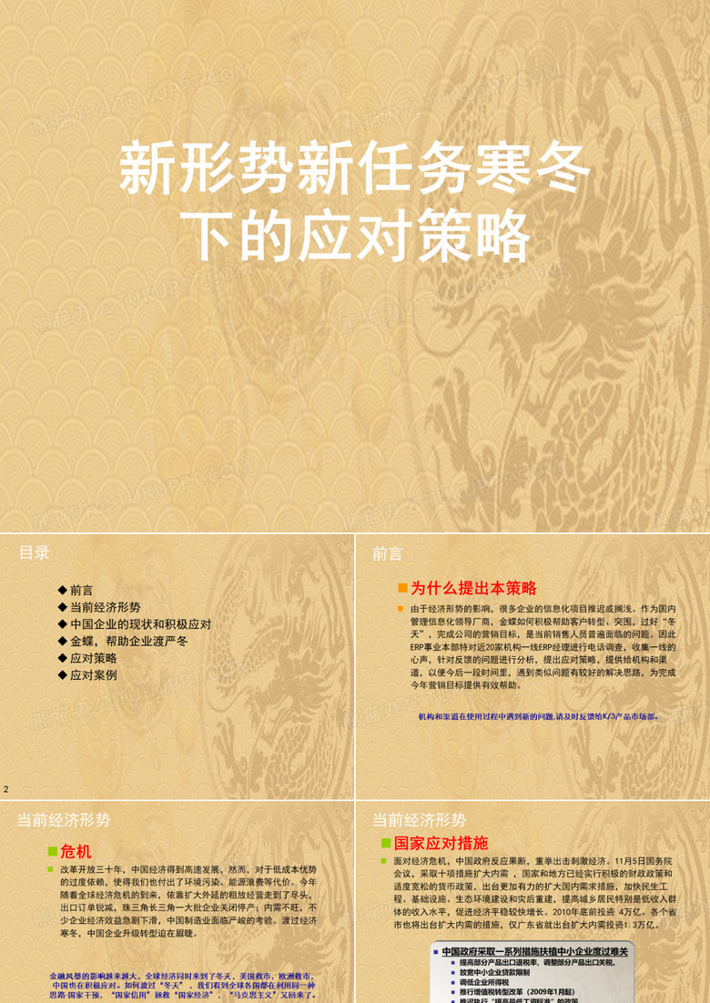 新形势新任务寒冬下的应对策略.2021优选PPT