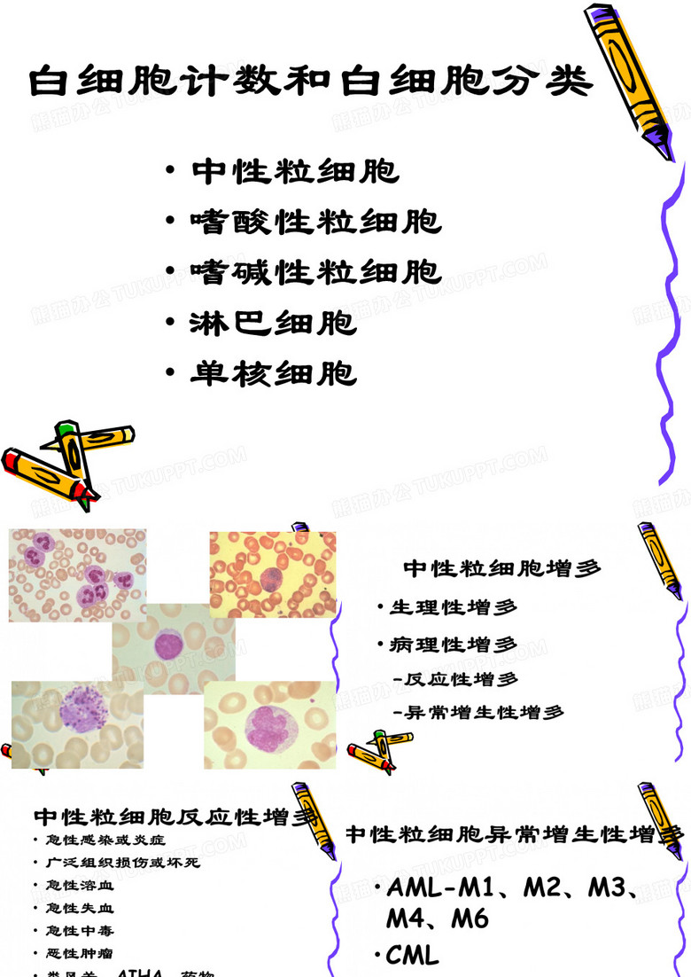 白细胞计数和白细胞分类