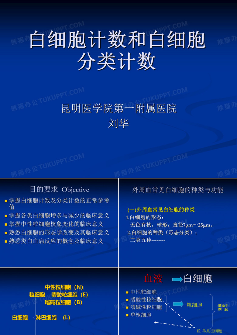 白细胞计数和白细胞分类计数