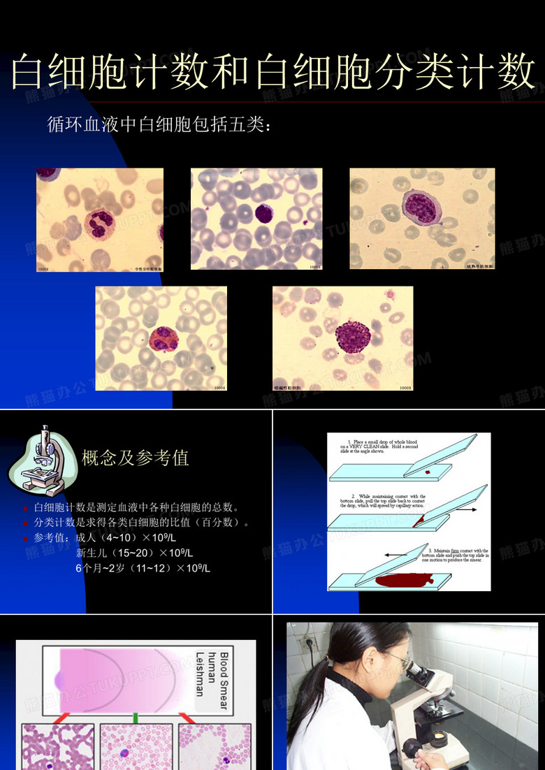 白细胞计数和白细胞分类计数