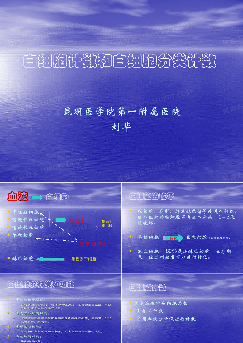 白细胞计数和白细胞分类计数