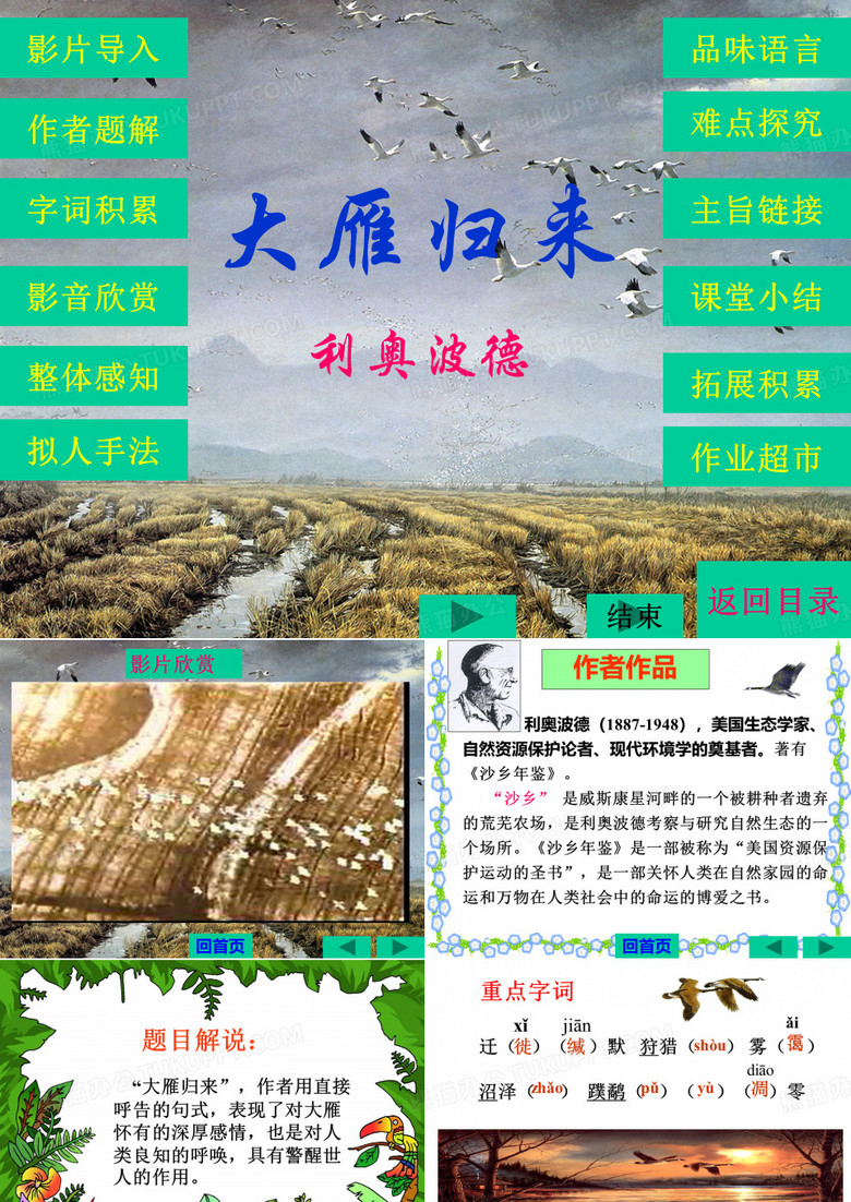 大雁归来优翼原创课件