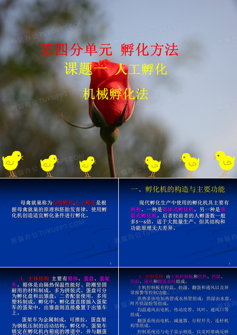 人工孵化