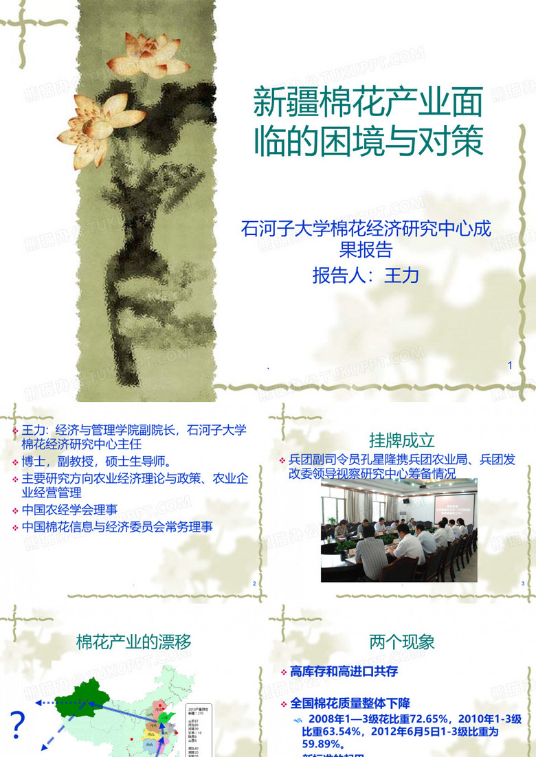 新疆棉花产业可持续发展问题PPT课件