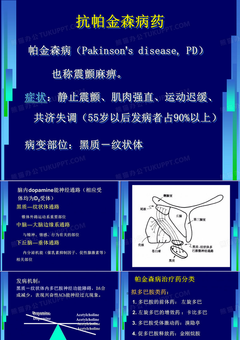 左旋多巴左旋多巴的增效药