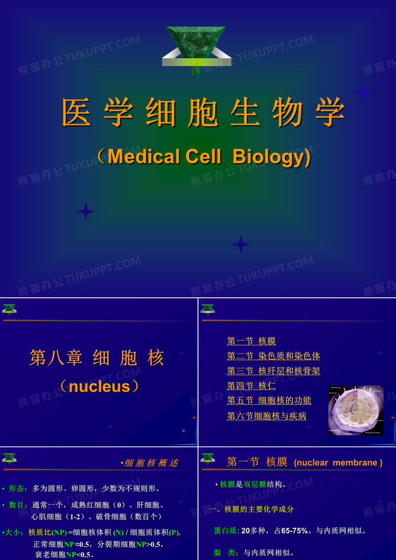 细胞生物学细胞核