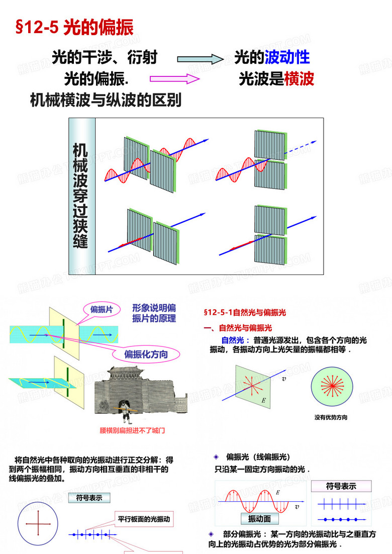 光的偏振