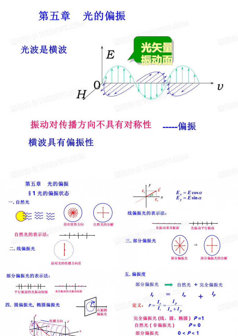 光的偏振