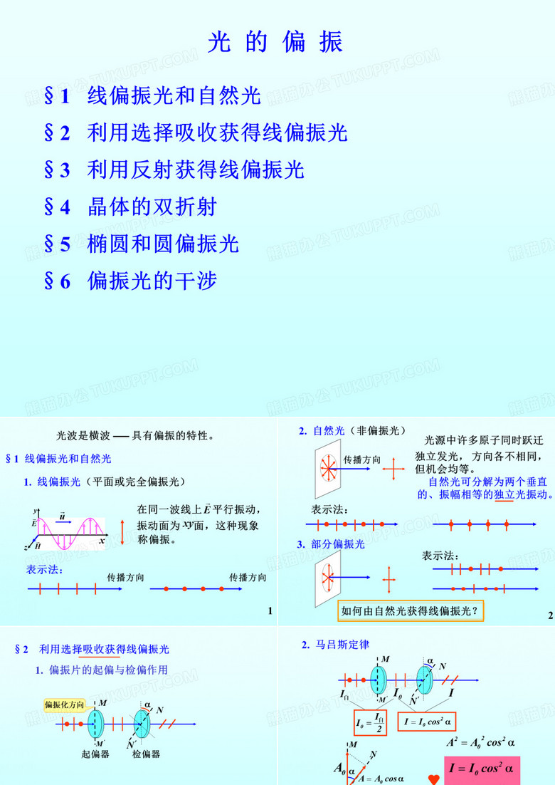 光的偏振