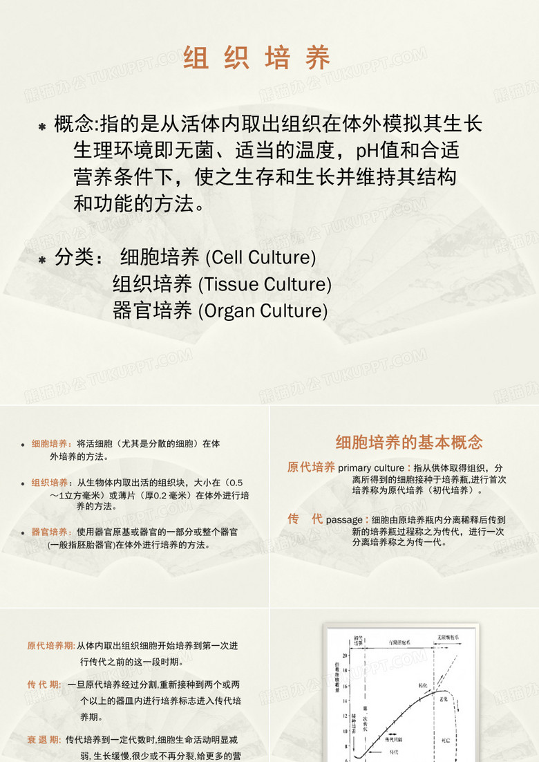 细胞培养