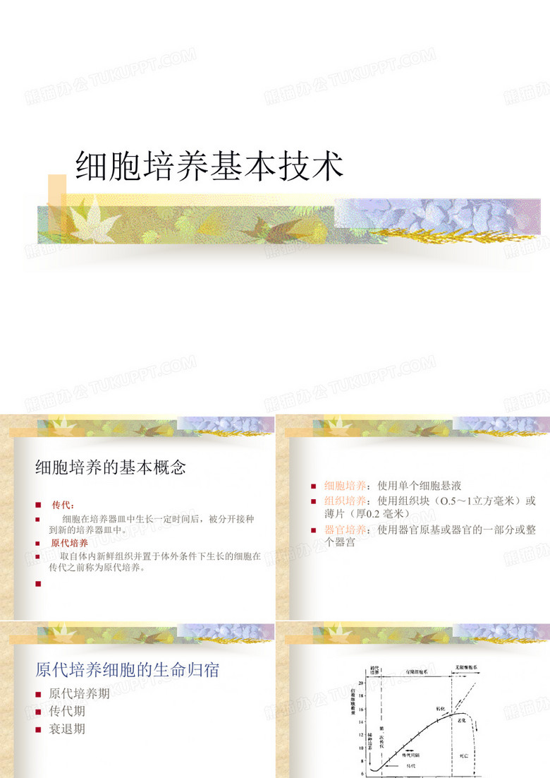细胞培养