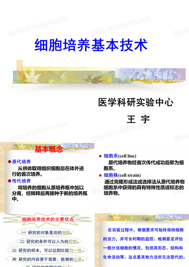 细胞培养