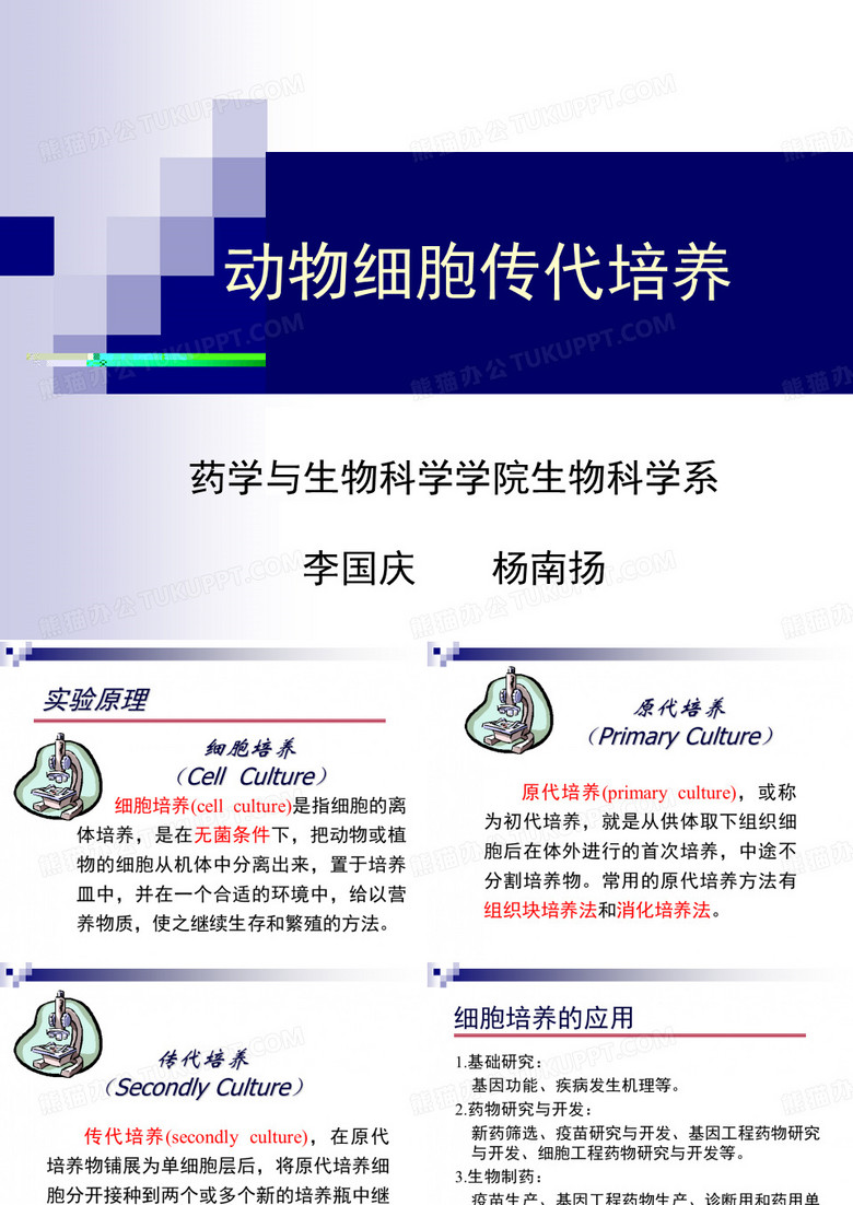 细胞生物学-细胞培养课件-传代培养