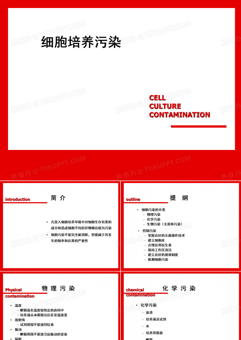 细胞培养：细胞污染问题