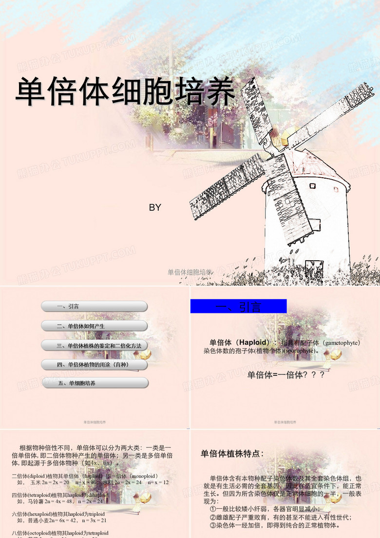 单倍体细胞培养
