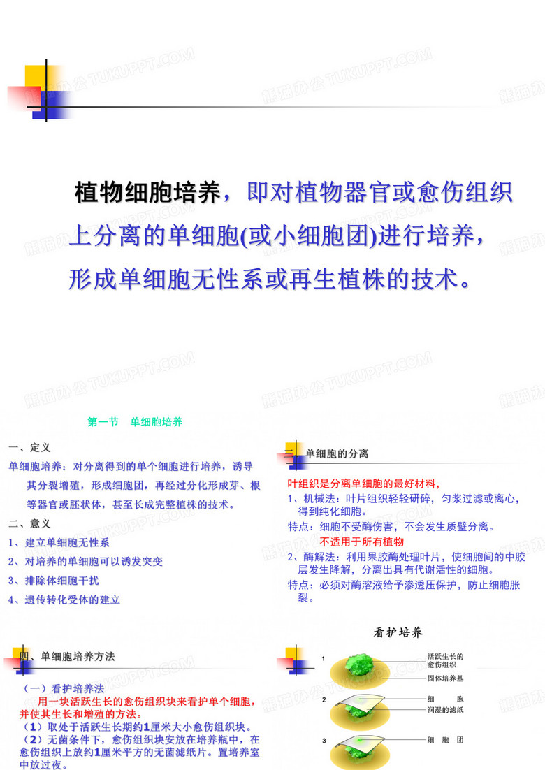 植物细胞培养