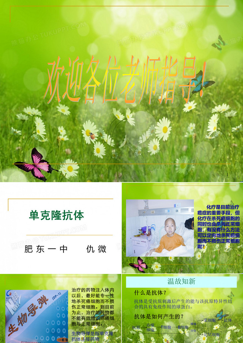 单克隆抗体