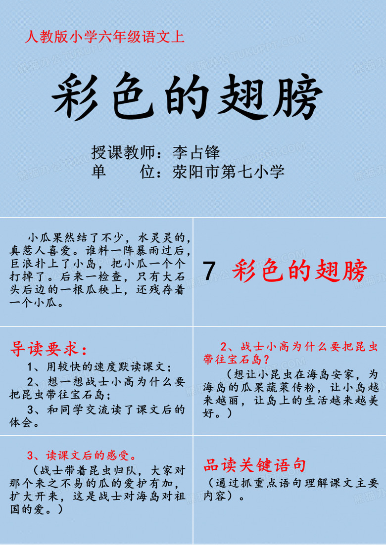 彩色的翅膀