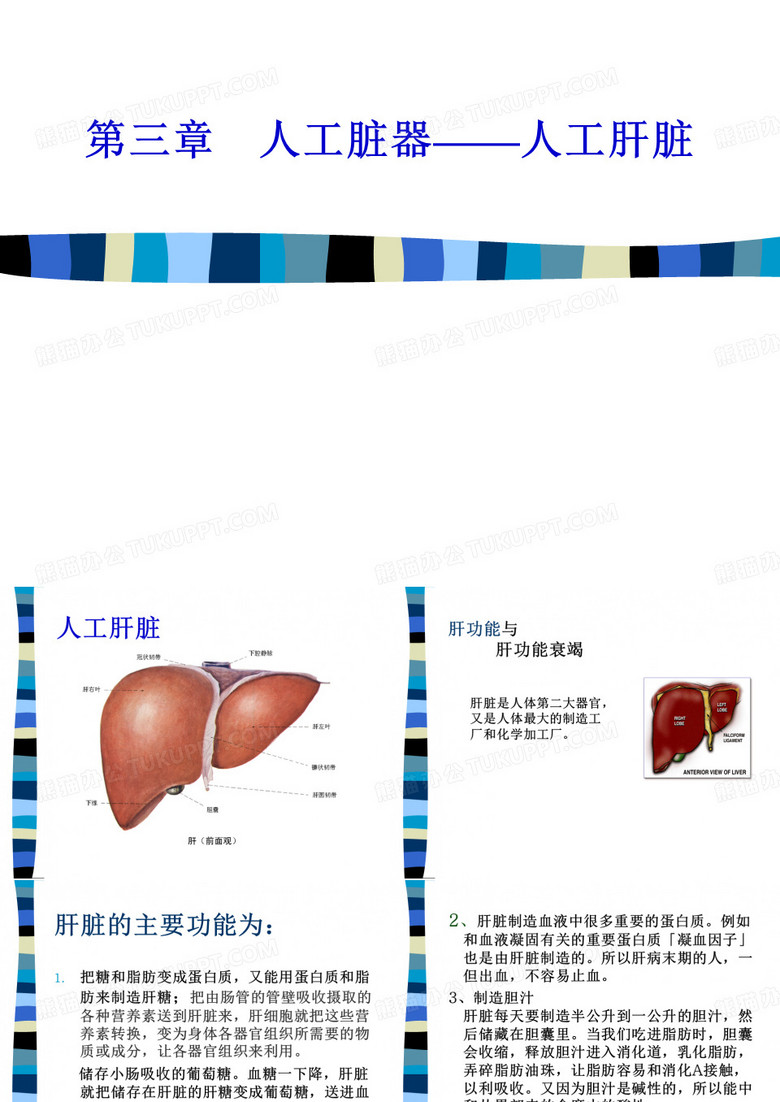 人工脏器人工肝PPT课件