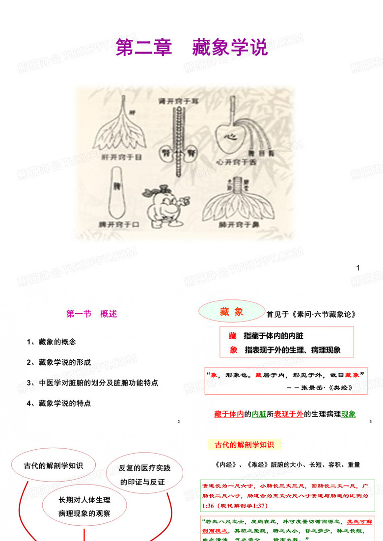 藏象学说课件