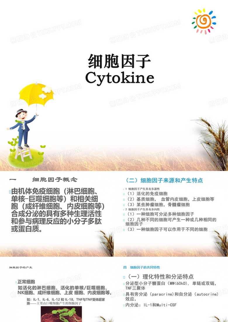 细胞因子ppt课件-细胞因子药物 ppt