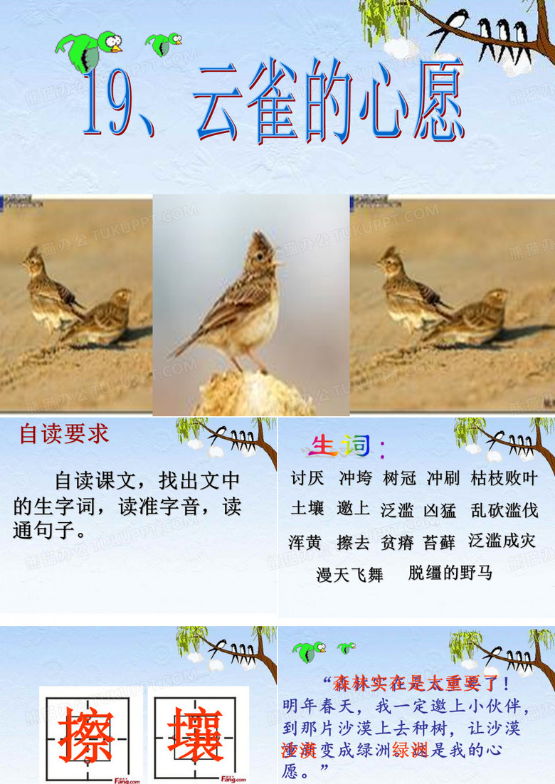 《云雀的心愿》优质课PPT