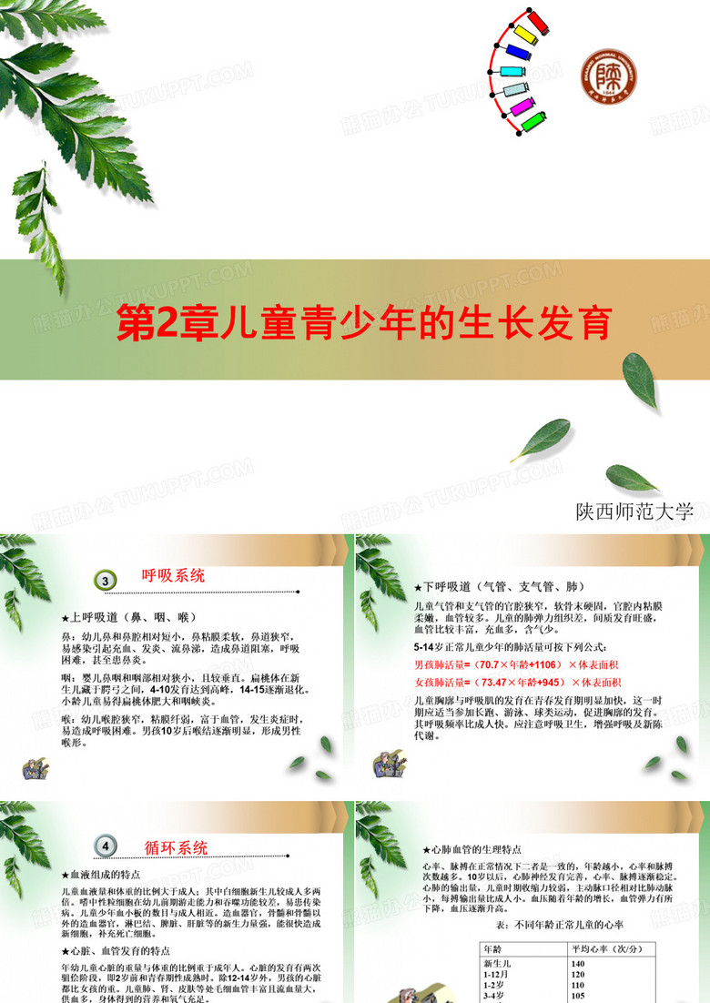 儿童青少年的成长发育