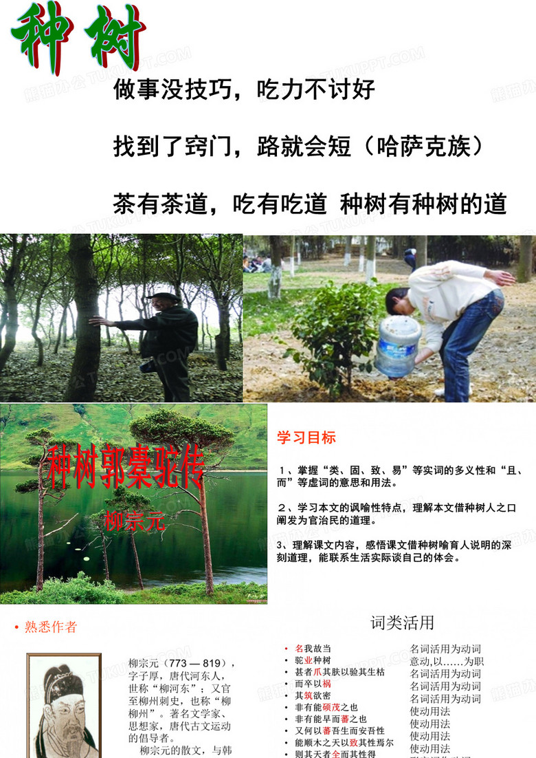 种树郭橐驼传