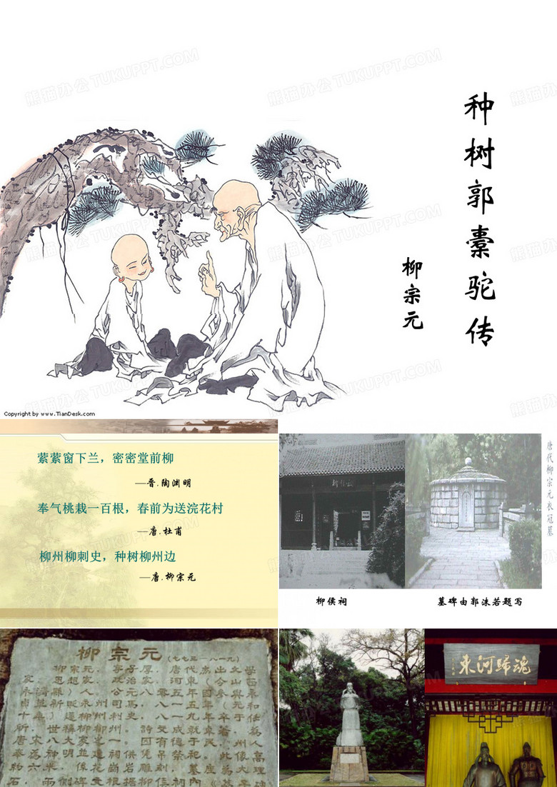 种树郭橐驼传