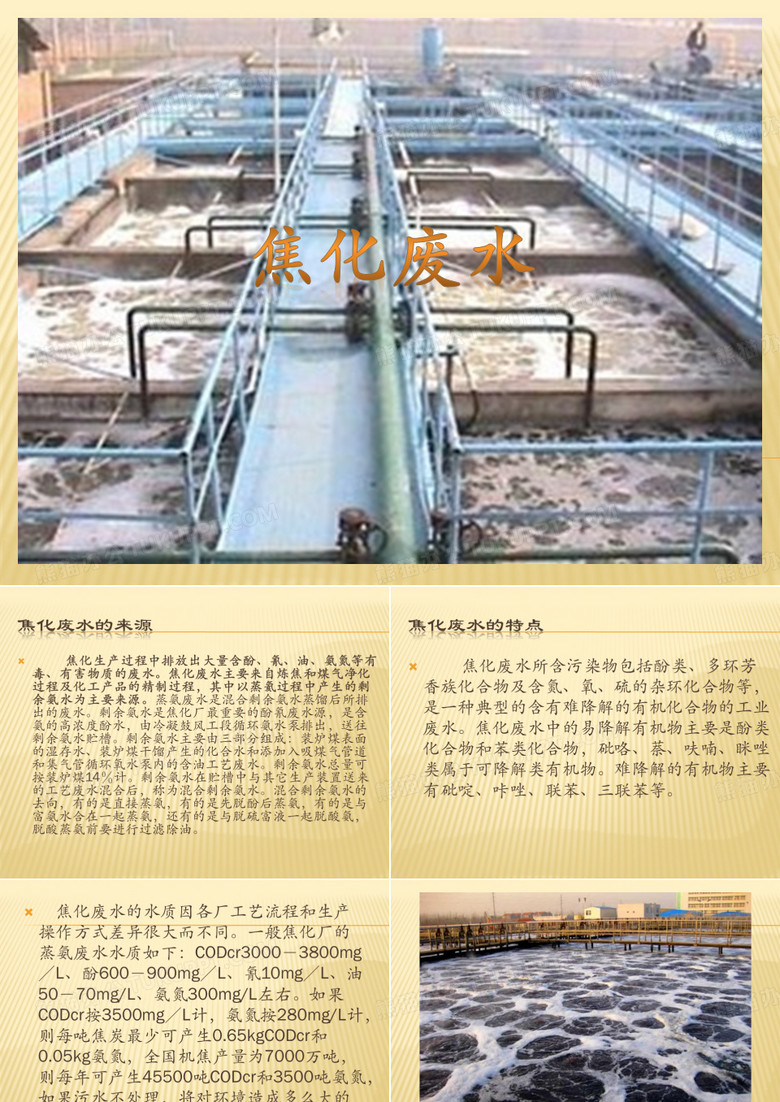 焦化废水