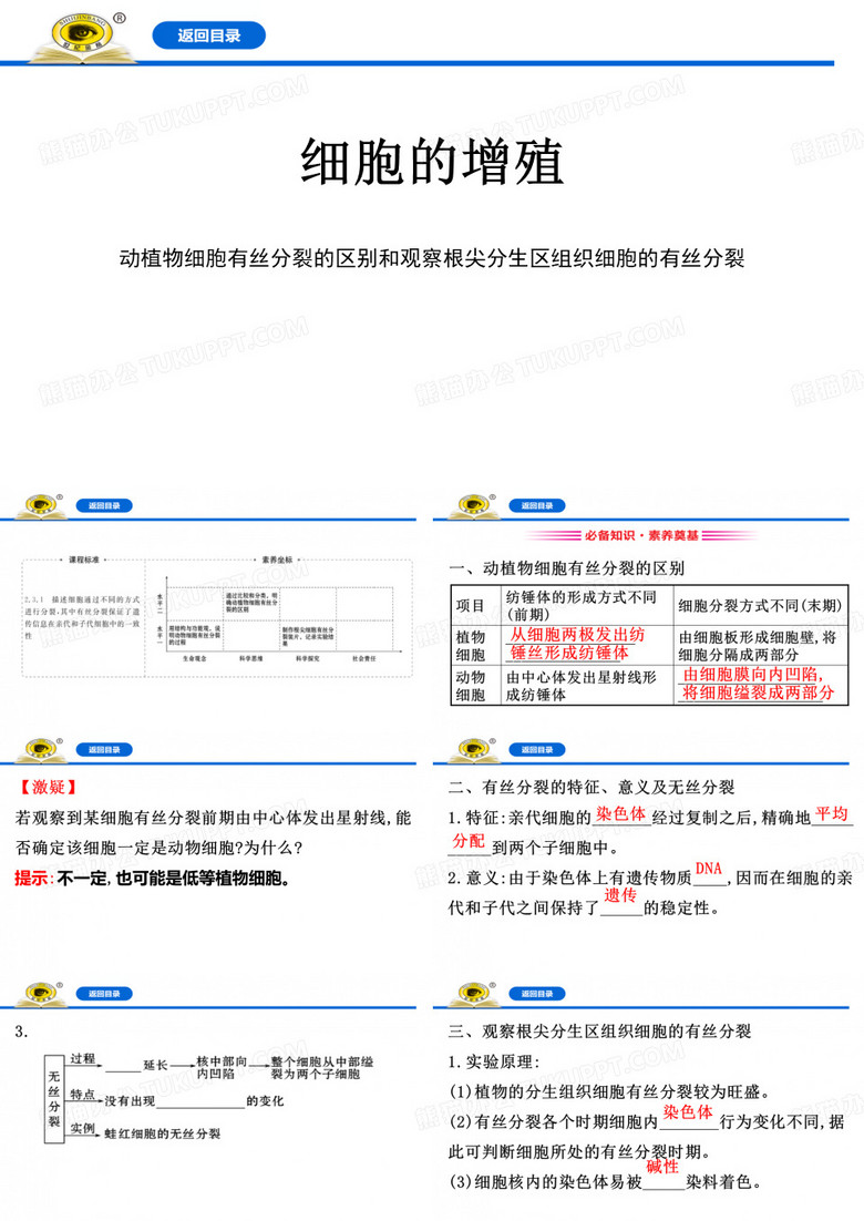 细胞的增殖