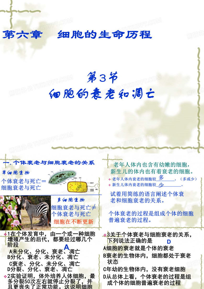 细胞的衰老