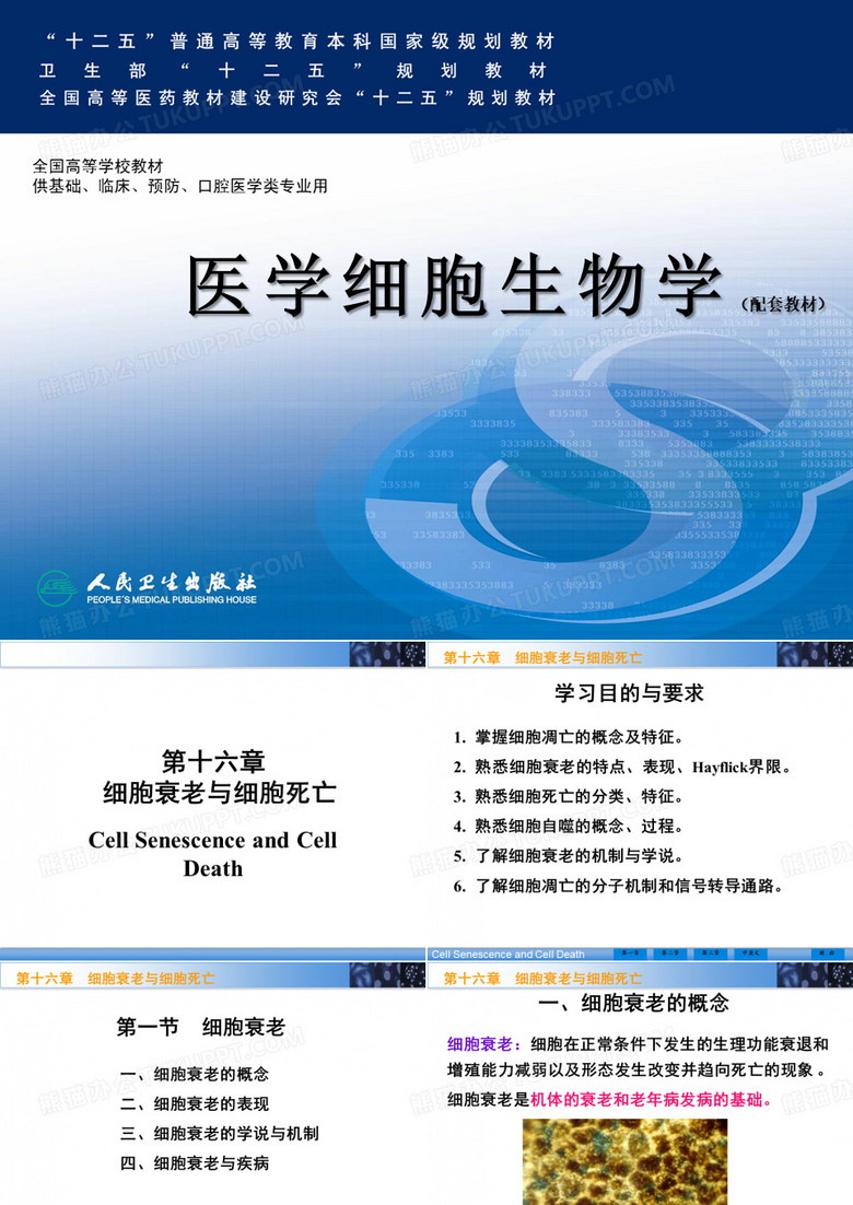 细胞的衰老与细胞死亡