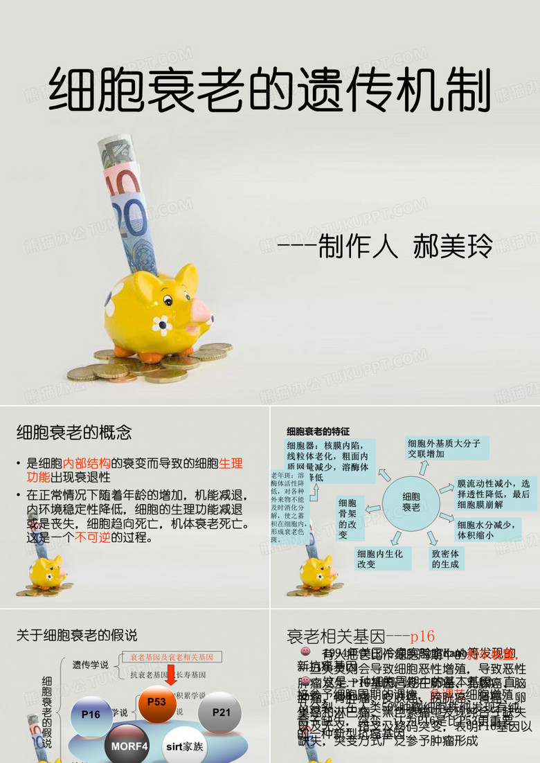 细胞衰老的机制
