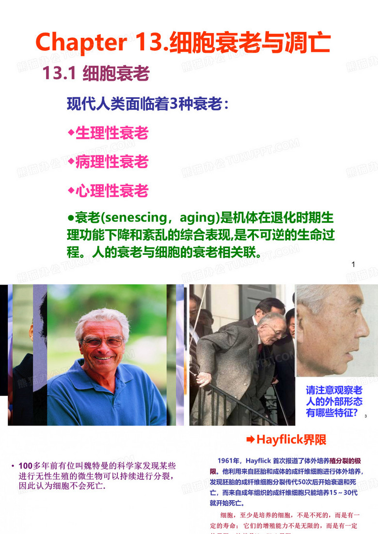 细胞衰老与凋亡