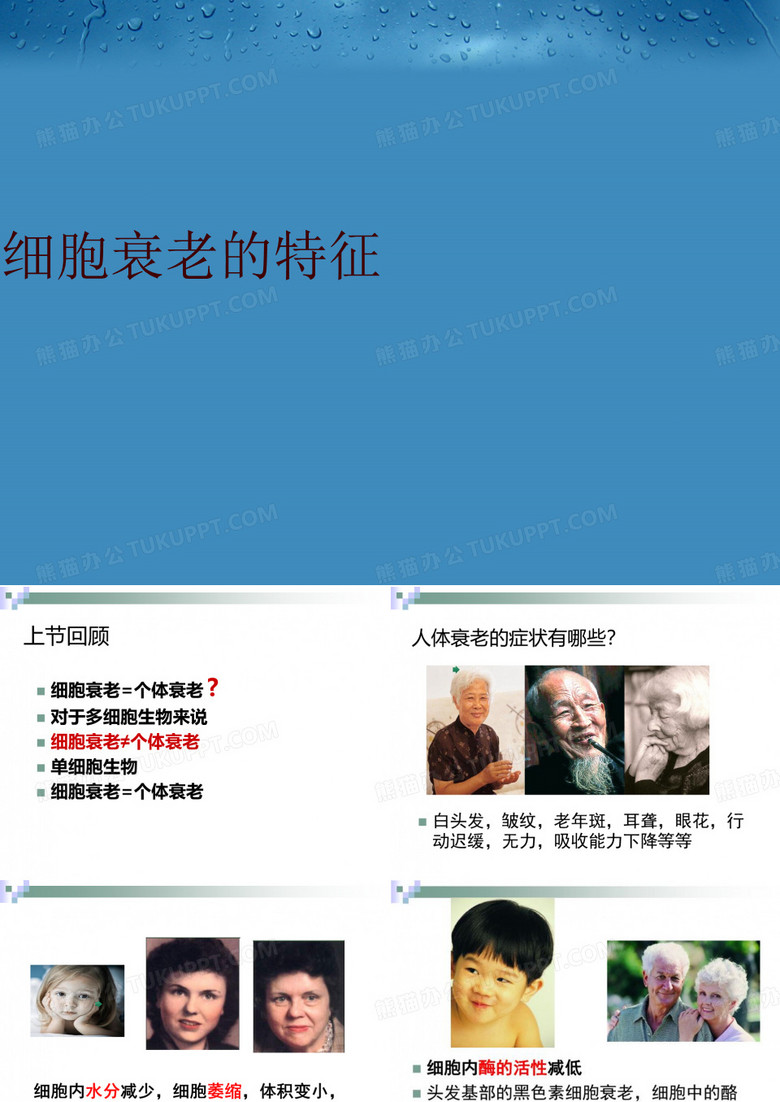 细胞衰老的特征