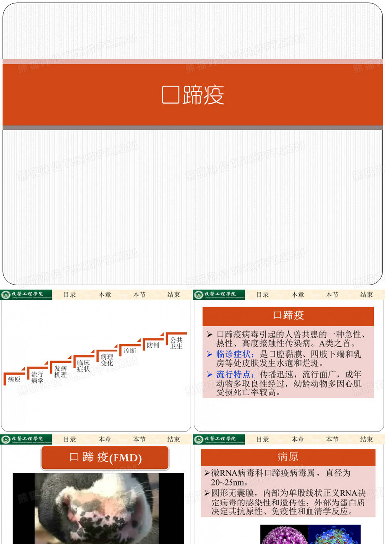 口蹄疫