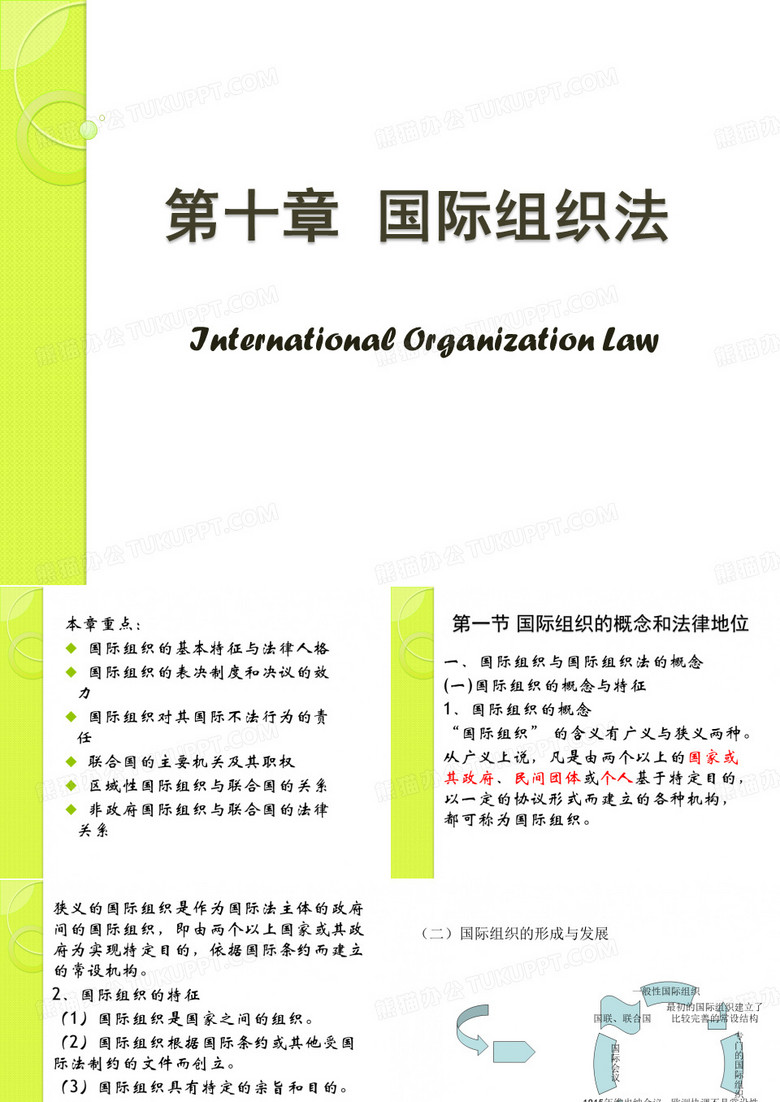 国际公法 第十章 国际组织法