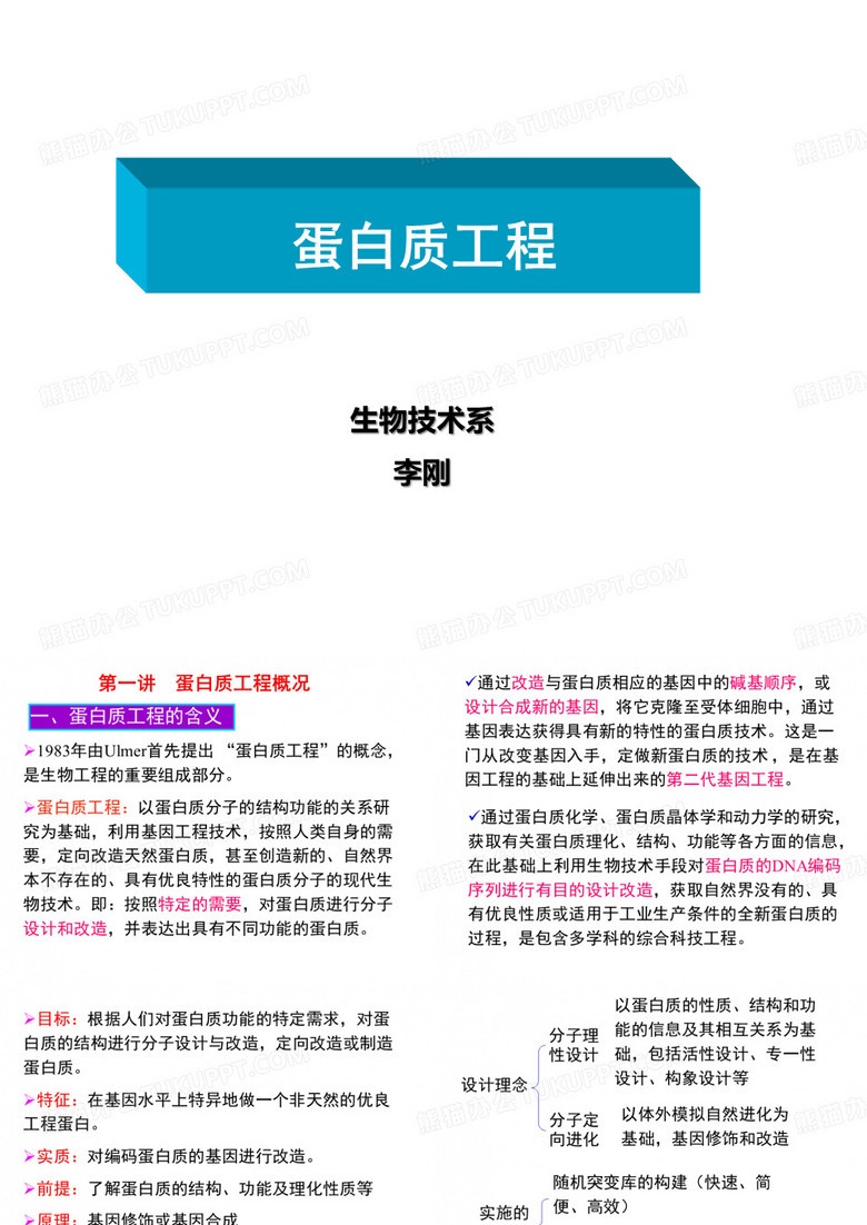 蛋白质工程