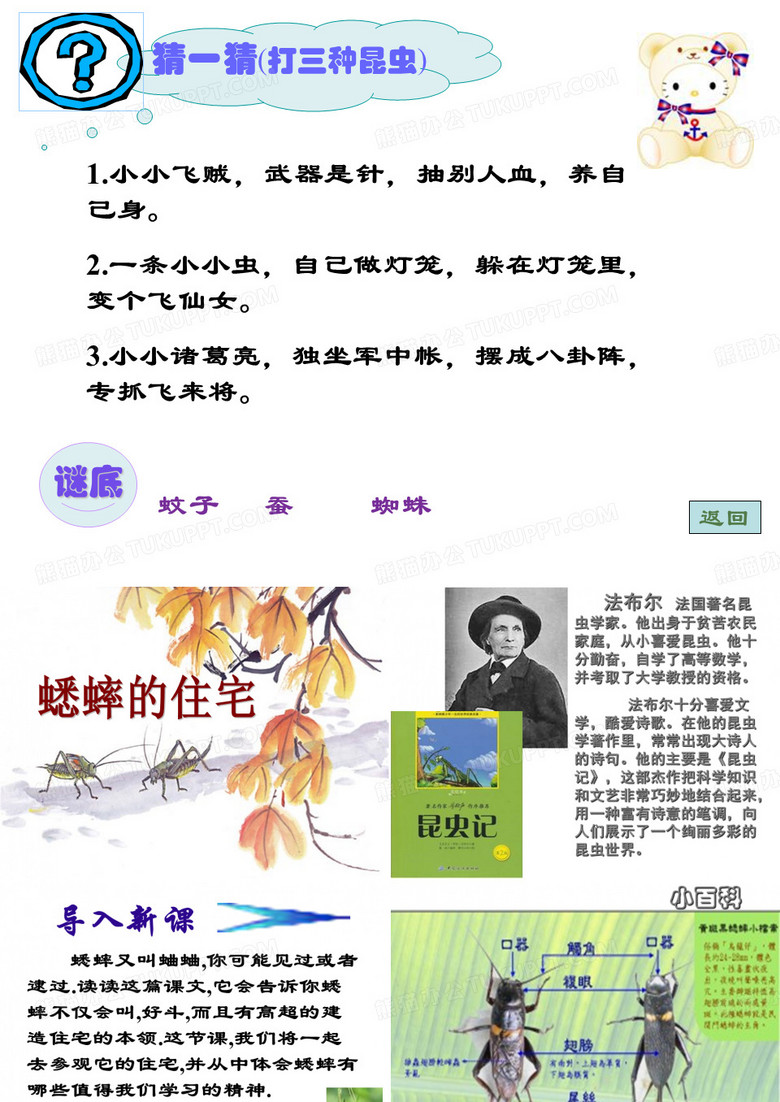 蟋蟀的住宅课件
