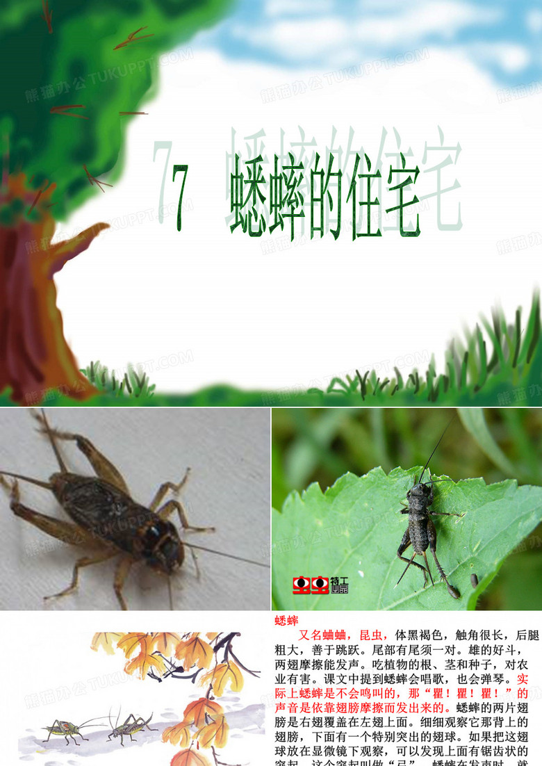 《蟋蟀的住宅》PPT课件