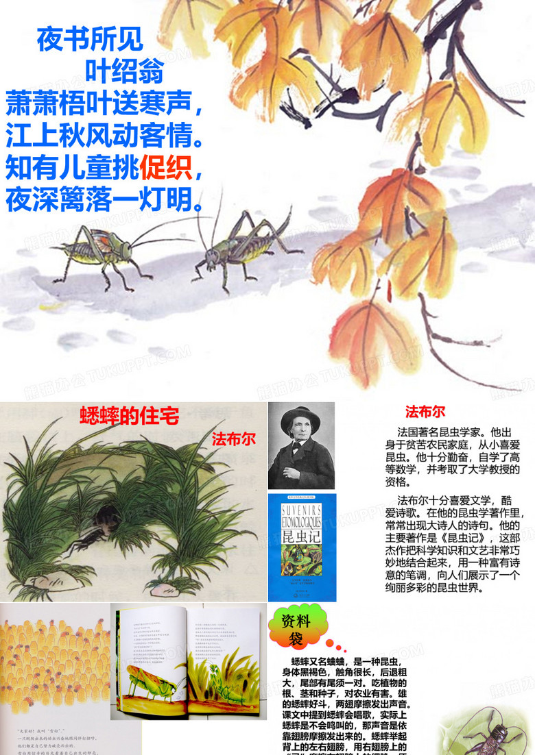 《蟋蟀的住宅》PPT课件