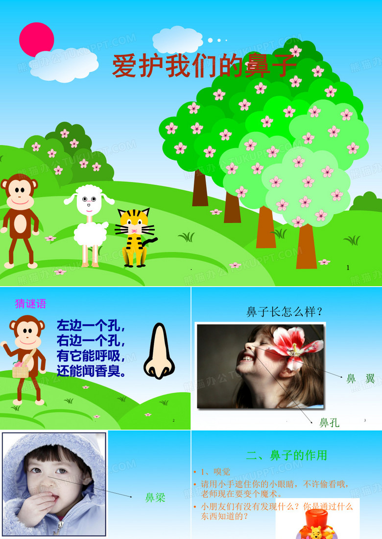 保护鼻子医学PPT课件