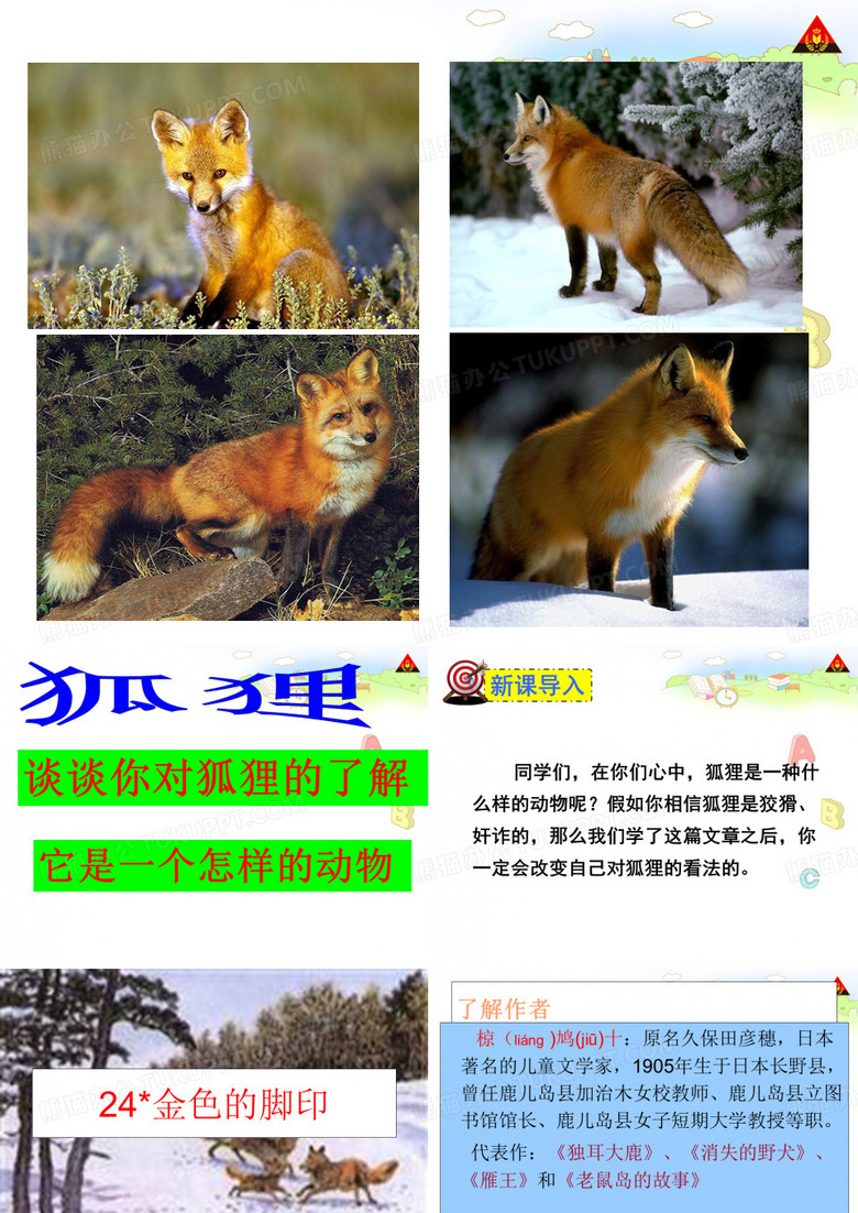 24_金色的脚印