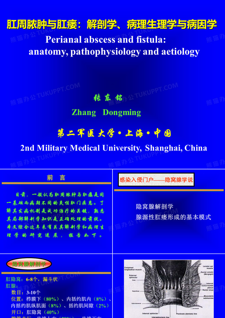 肛周脓肿与肛瘘