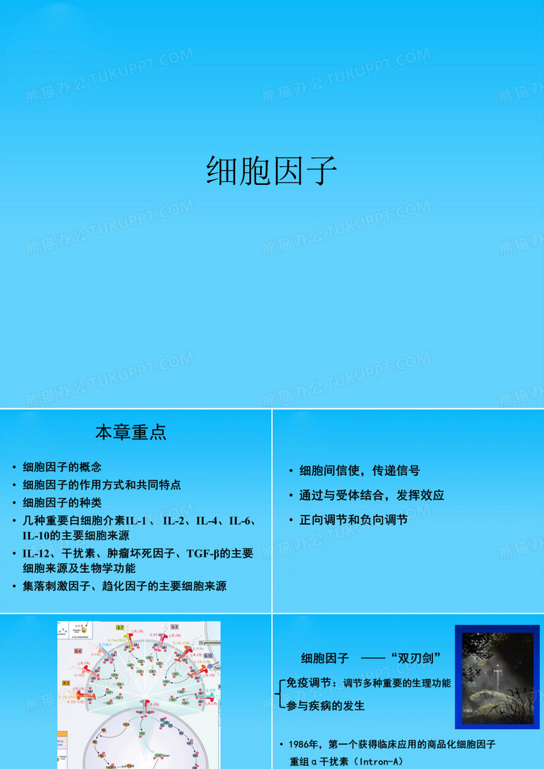 细胞因子 
