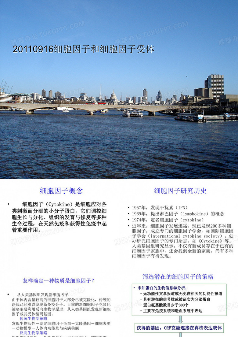 20110916细胞因子和细胞因子受体