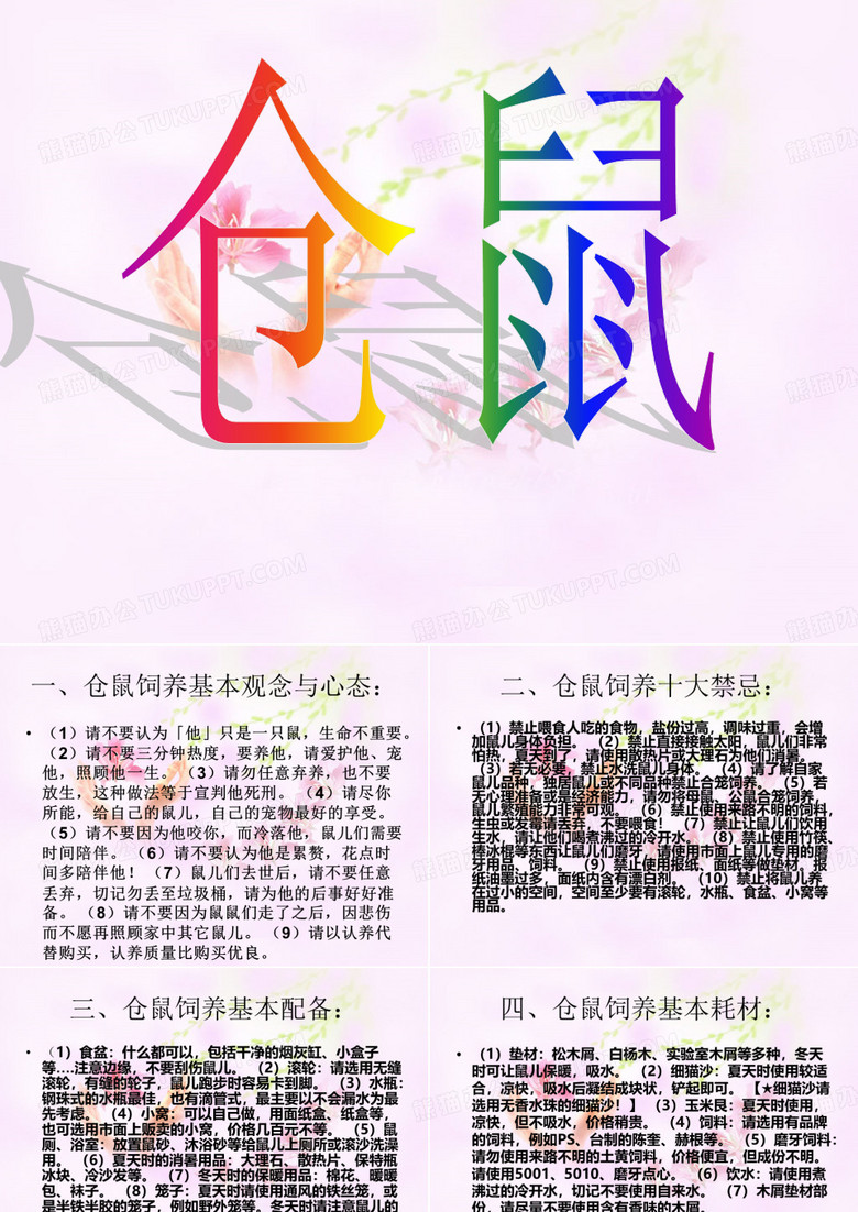 仓鼠