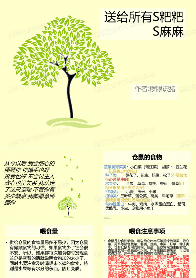 新手怎么养仓鼠_仓鼠喂养_全心宠物.