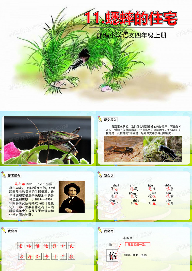 11蟋蟀的住宅   课件